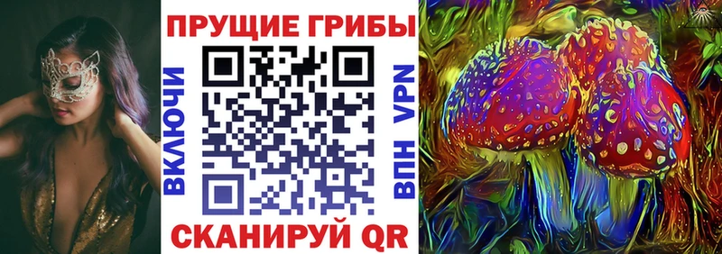 где можно купить   Спасск-Дальний  Псилоцибиновые грибы мухоморы 