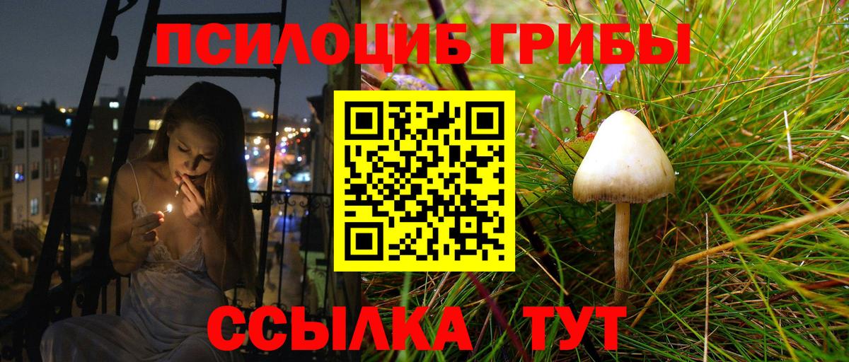 Галлюциногенные грибы Magic Shrooms  Псилоцибиновые грибы MAGIC MUSHROOMS  Вход с VPN  Спасск-Дальний 